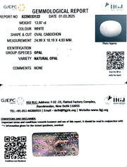 13.97/CT Natural Opal with Govt. Lab Certificate